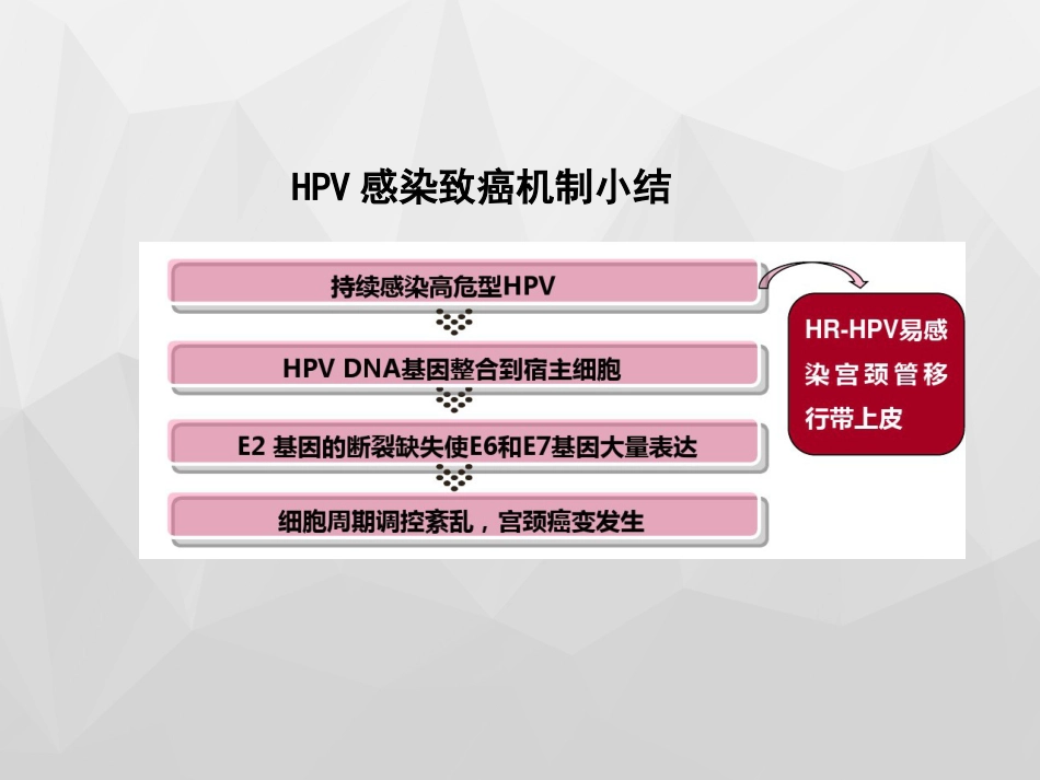 HPV与宫颈癌x【18页】_第12页