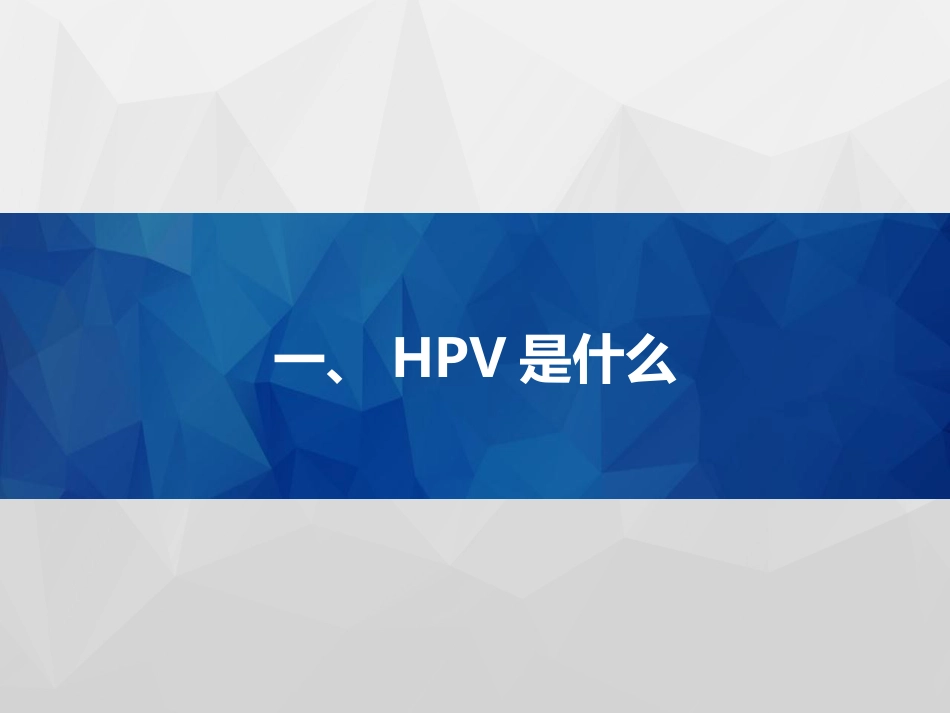 HPV与宫颈癌x【18页】_第3页