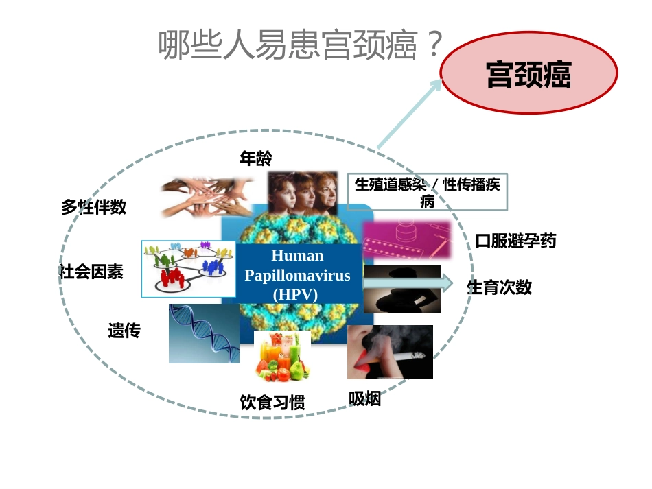 HPV与宫颈癌x【18页】_第8页