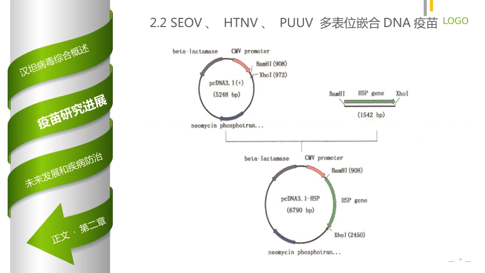 汉坦病毒DNA疫苗【19页】_第13页