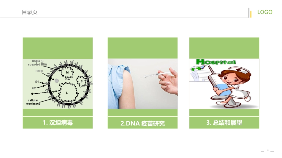 汉坦病毒DNA疫苗【19页】_第2页
