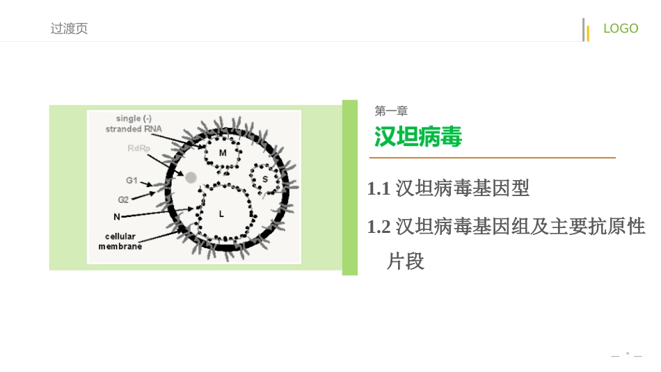汉坦病毒DNA疫苗【19页】_第3页