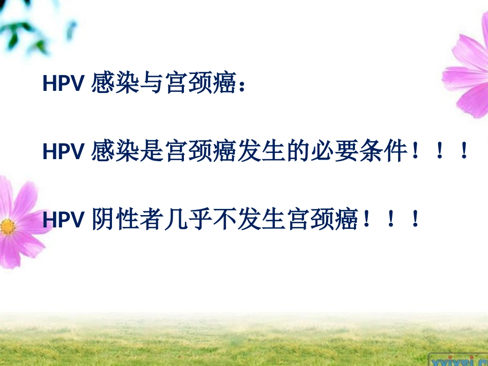 HPV感染与宫颈癌【19页】_第10页