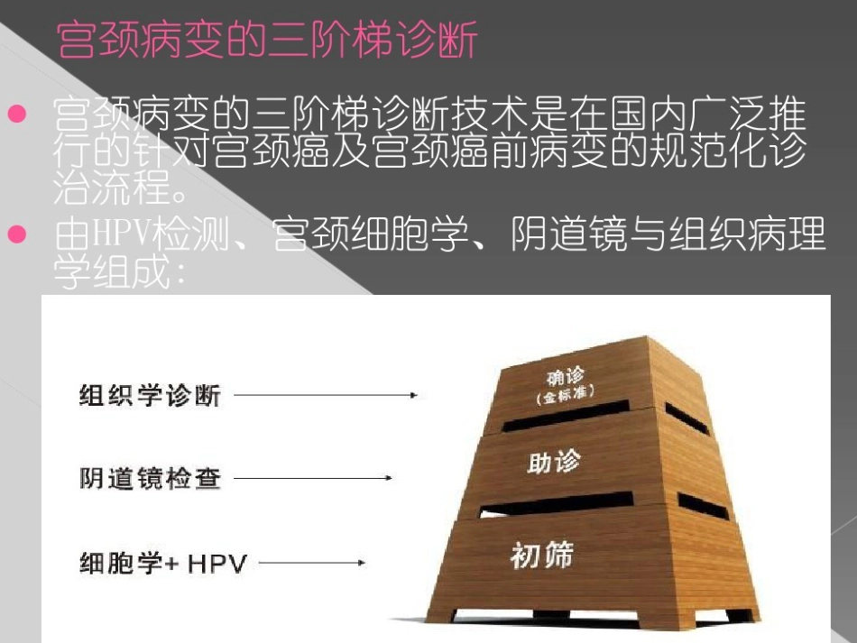 HPV感染与宫颈癌【19页】_第14页
