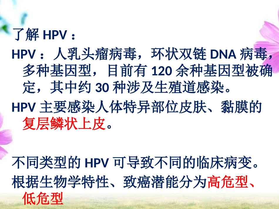 HPV感染与宫颈癌【19页】_第2页