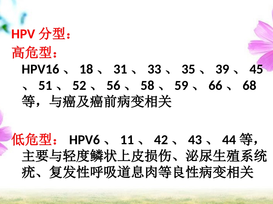 HPV感染与宫颈癌【19页】_第3页
