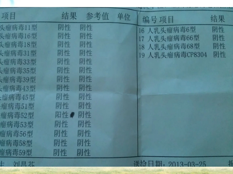 HPV感染与宫颈癌【19页】_第4页