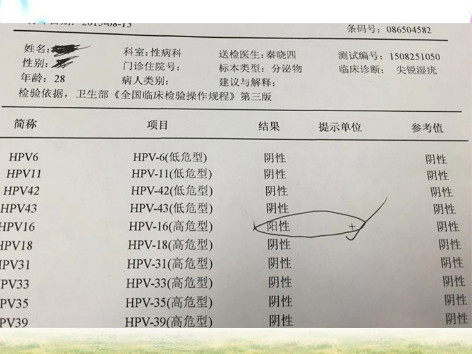 HPV感染与宫颈癌【19页】_第5页