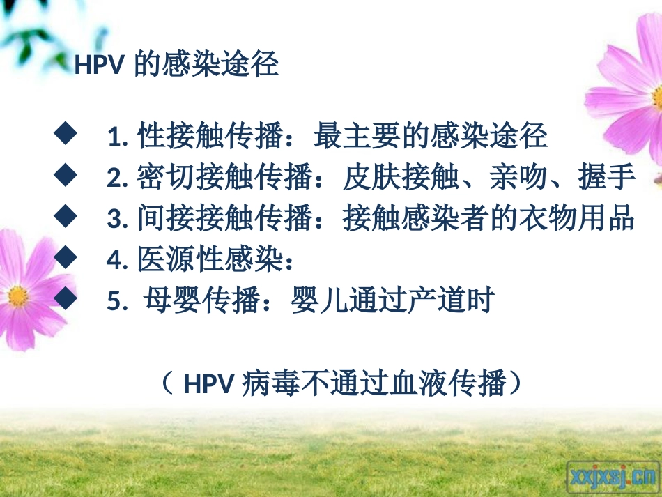 HPV感染与宫颈癌【19页】_第6页
