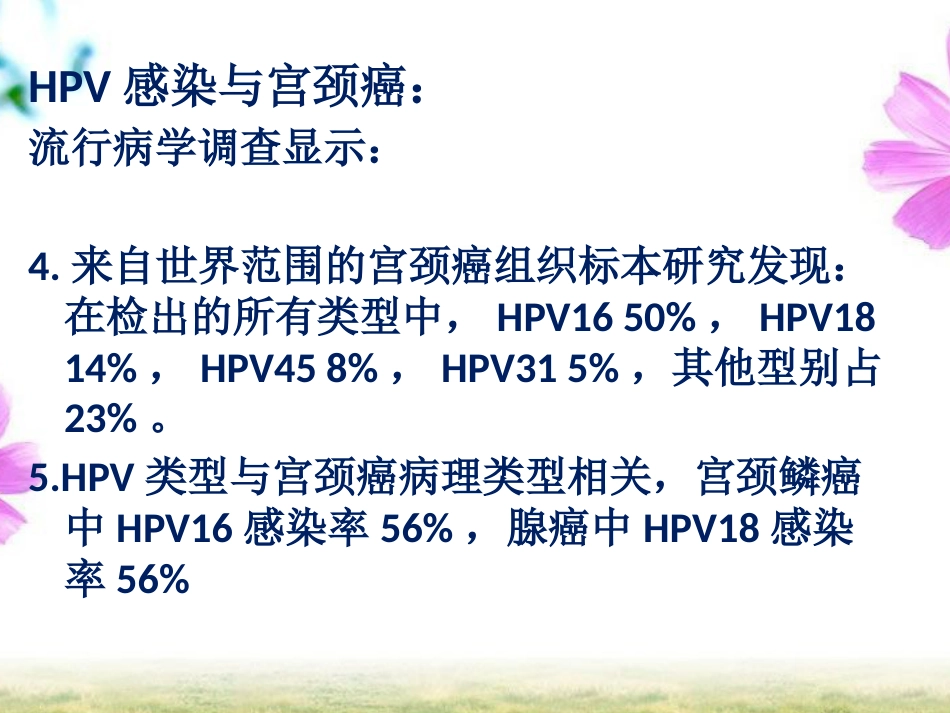 HPV感染与宫颈癌【19页】_第9页