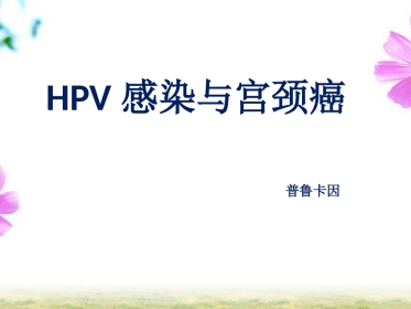 HPV感染与宫颈癌【19页】
