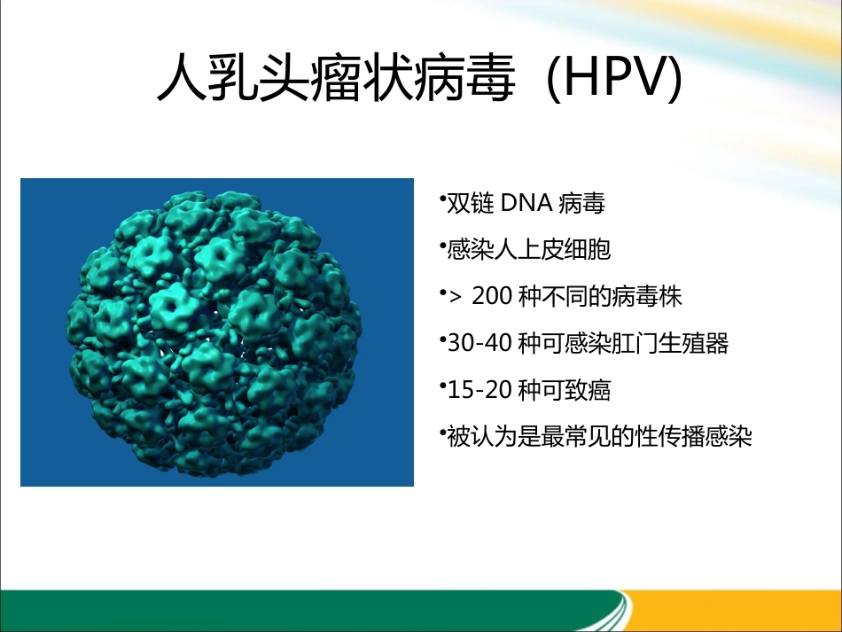 HPV与宫颈癌的关系x【21页】_第3页