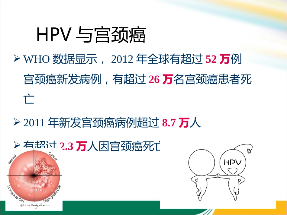HPV与宫颈癌的关系x【21页】_第9页