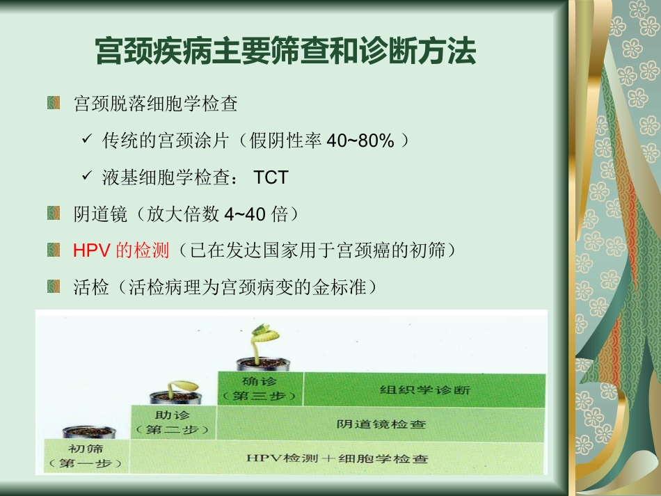 宫颈癌与TCT、HPV检测【24页】_第5页