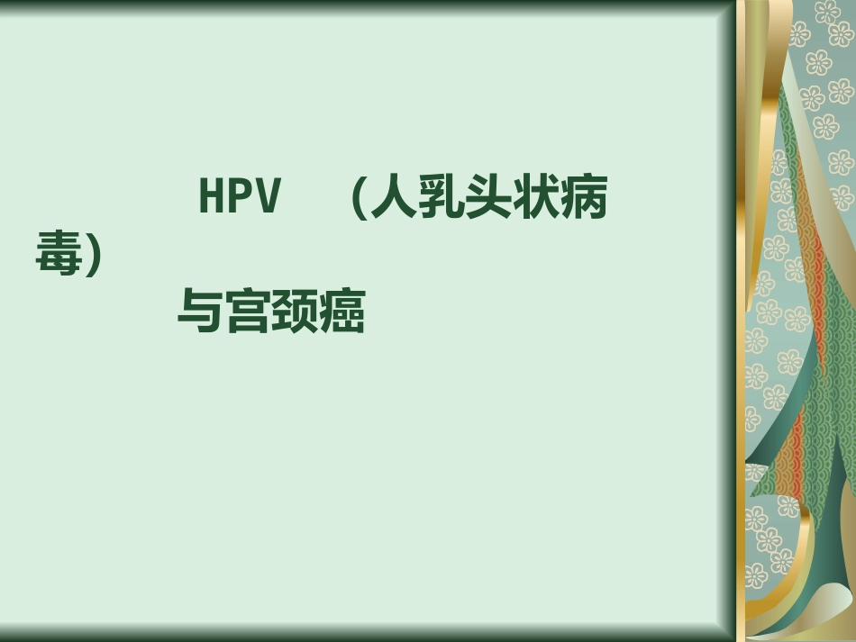 宫颈癌与TCT、HPV检测【24页】_第6页