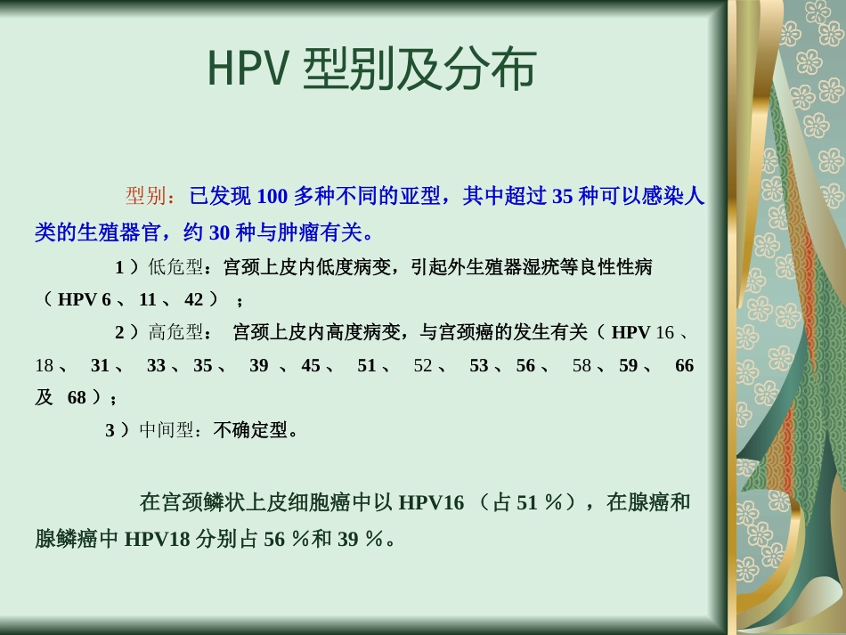 宫颈癌与TCT、HPV检测【24页】_第8页