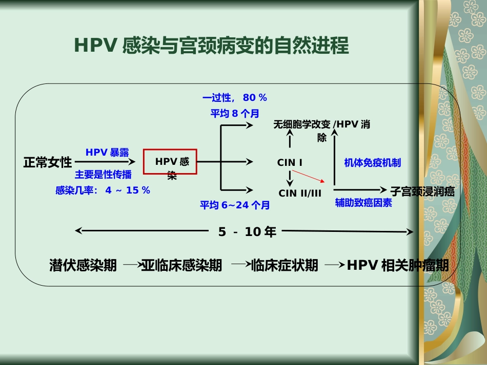宫颈癌与TCT、HPV检测【24页】_第9页