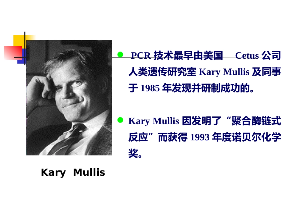 分子医学技能：分子医学技能-实验二PCR试剂盒检测HBV DNA【24页】_第3页