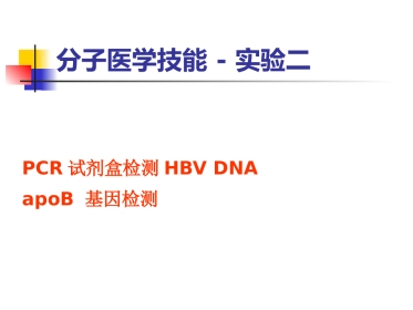 分子医学技能：分子医学技能-实验二PCR试剂盒检测HBV DNA【24页】