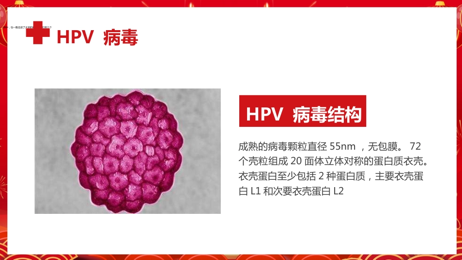 宫颈癌疫苗与HPV PPT【25页】_第6页