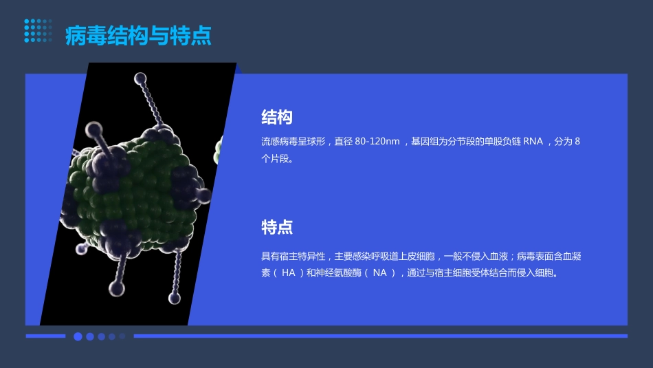 流感病毒知识科普ppt课件【27页】_第5页
