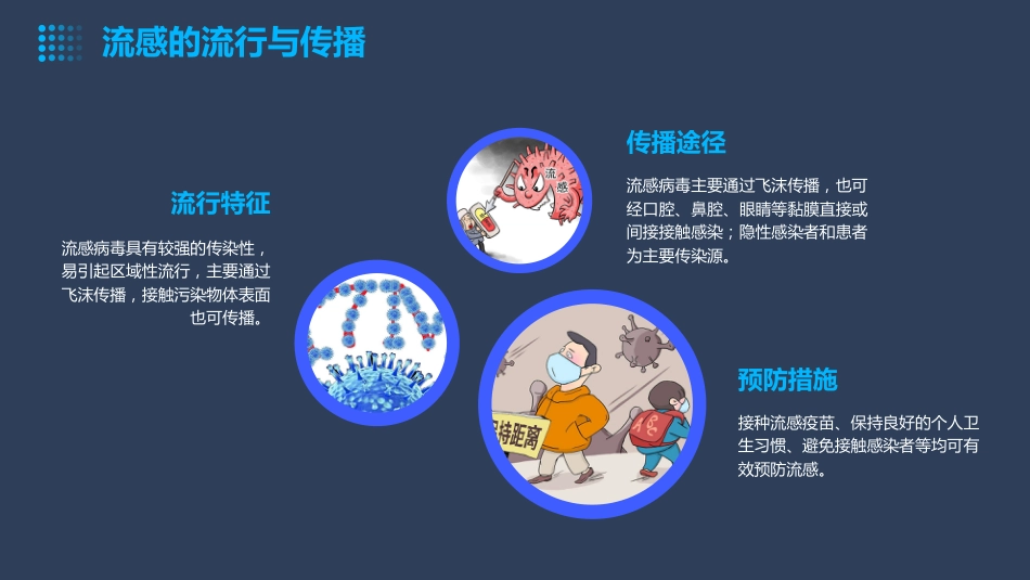 流感病毒知识科普ppt课件【27页】_第6页