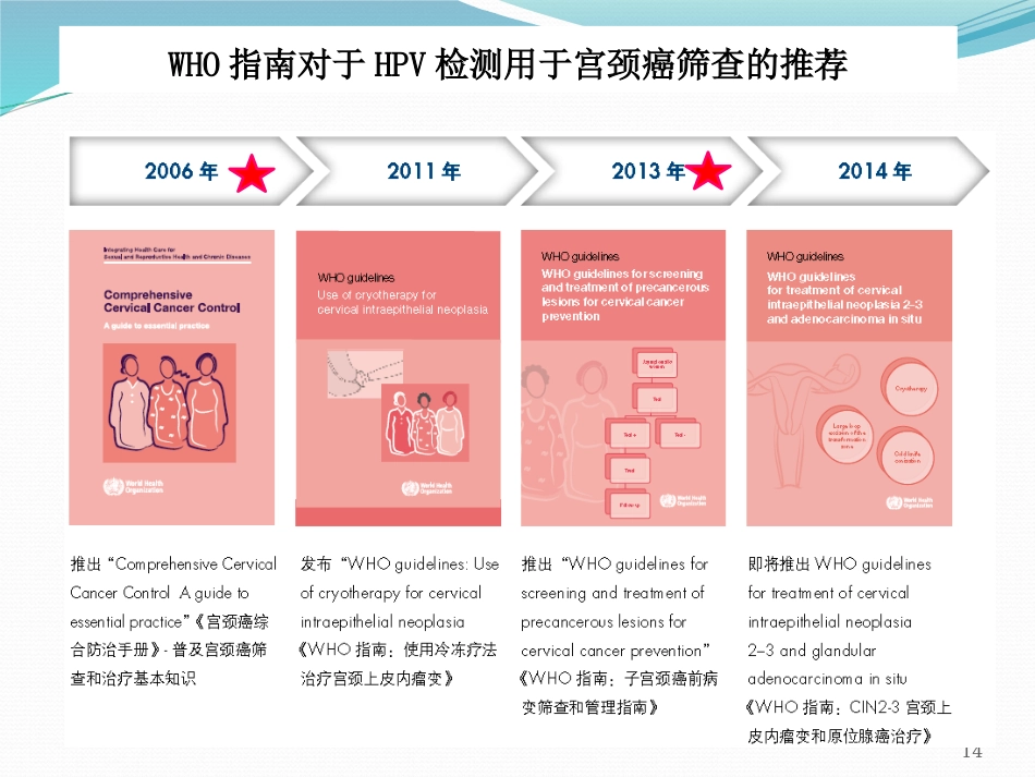 宫颈癌筛查与HPV检测【28页】_第14页