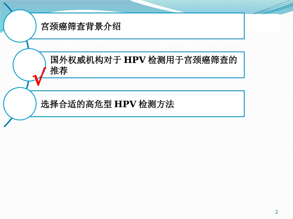 宫颈癌筛查与HPV检测【28页】_第2页