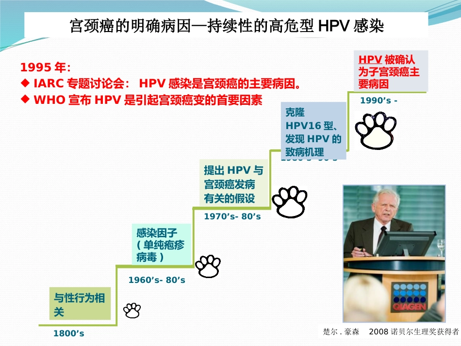 宫颈癌筛查与HPV检测【28页】_第4页