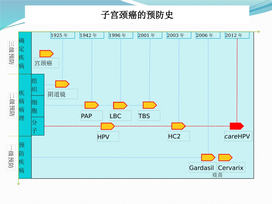 宫颈癌筛查与HPV检测【28页】_第5页