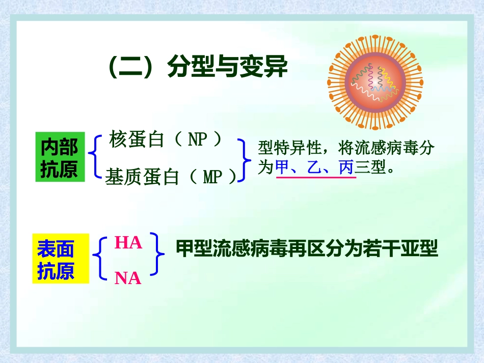 流感病毒【28页】_第14页