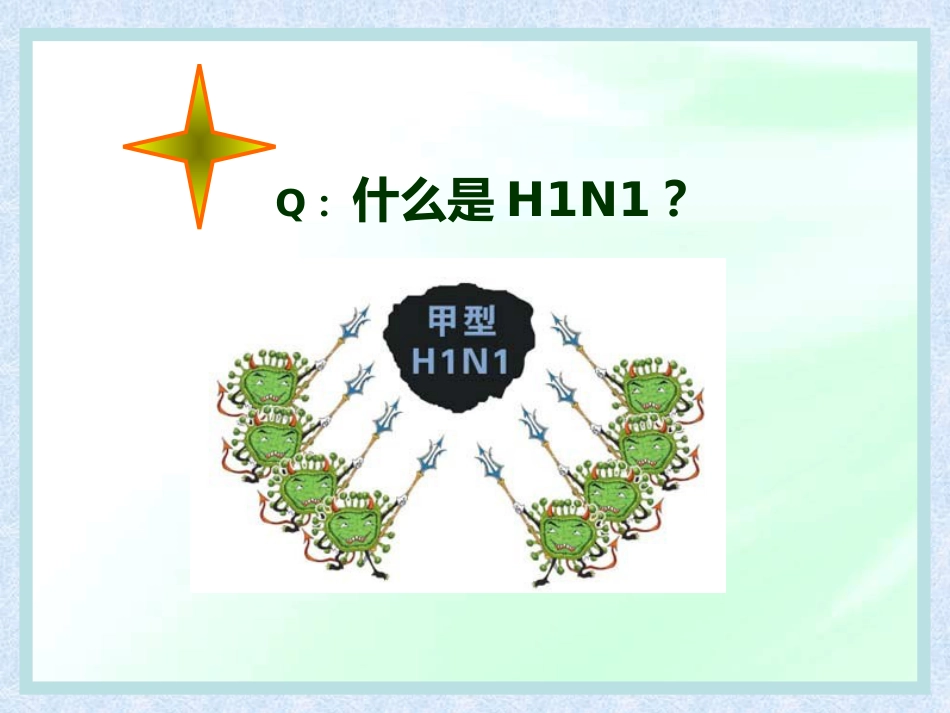 流感病毒【28页】_第2页