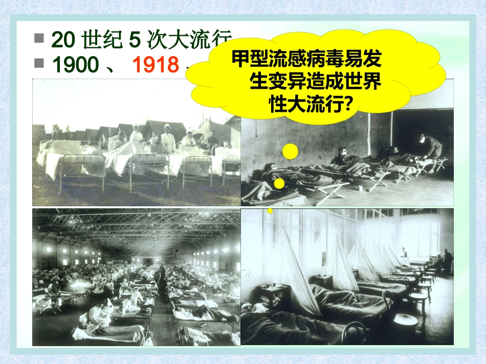 流感病毒【28页】_第5页