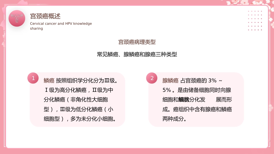 宫颈癌和HPV小常识科普讲座PPT模板【28页】_第11页