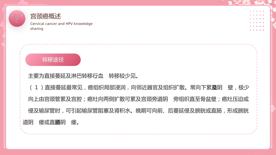 宫颈癌和HPV小常识科普讲座PPT模板【28页】_第13页