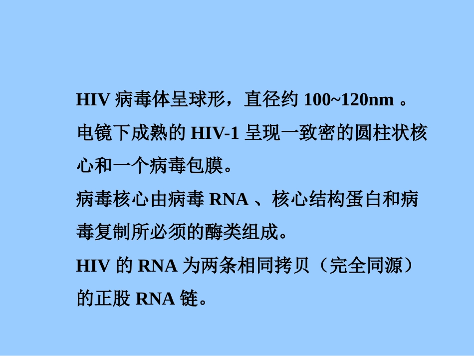 艾滋病及HIV的检测【32页】_第4页