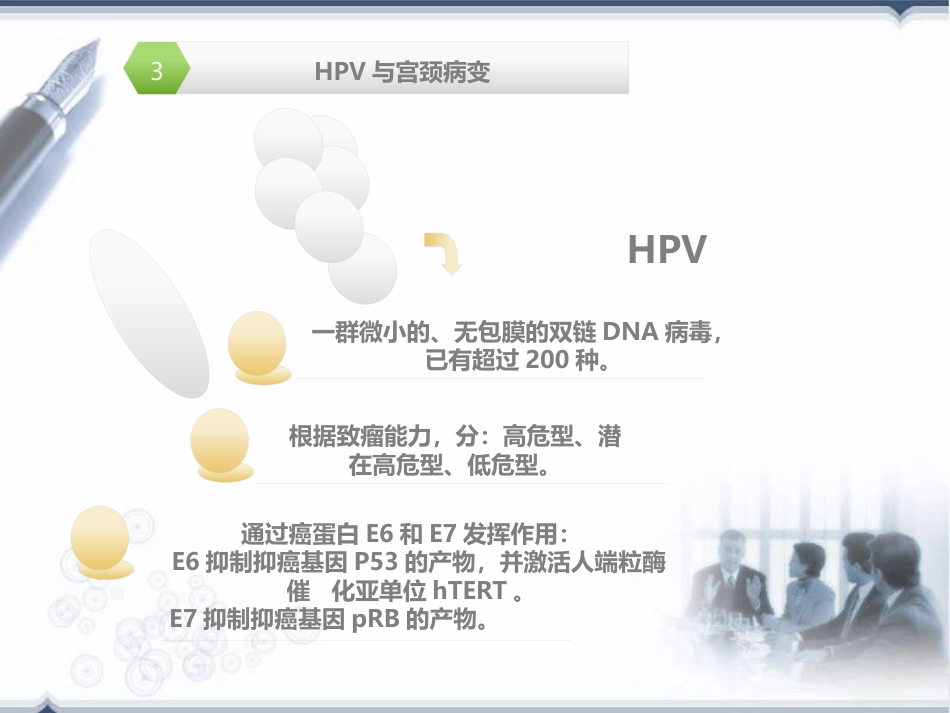 宫颈癌前病变概述(HPV)【32页】_第10页