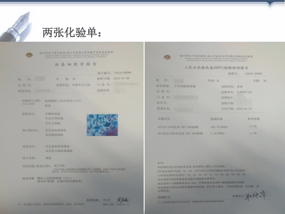 宫颈癌前病变概述(HPV)【32页】_第3页