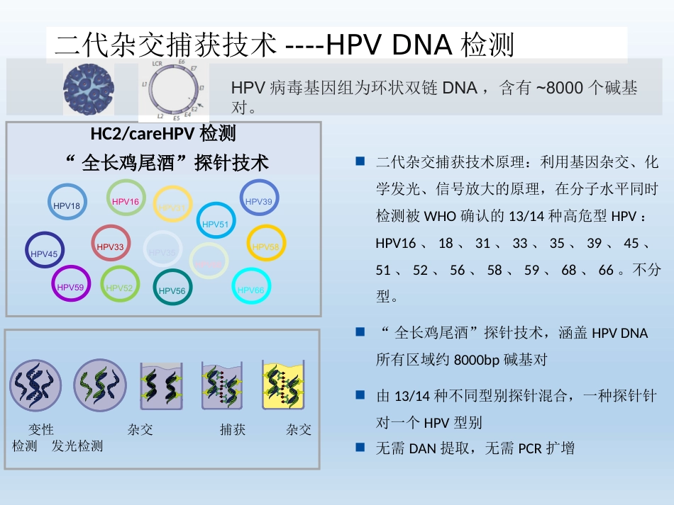 HPV检测及临床应用【33页】_第15页