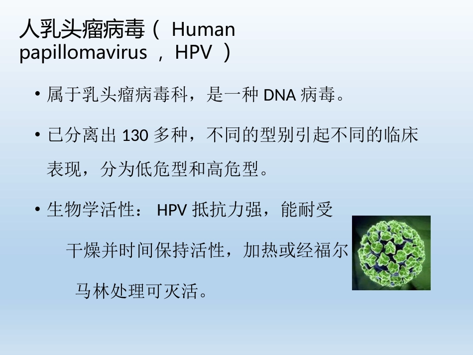 HPV检测及临床应用【33页】_第4页