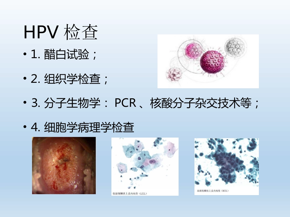 HPV检测及临床应用【33页】_第5页