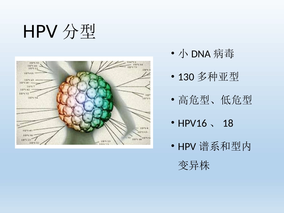 HPV检测及临床应用【33页】_第8页