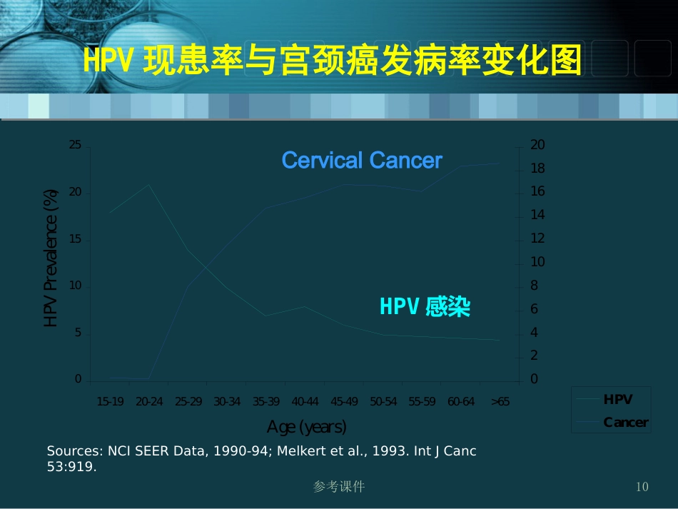 HPV感染与宫颈癌关系【34页】_第10页