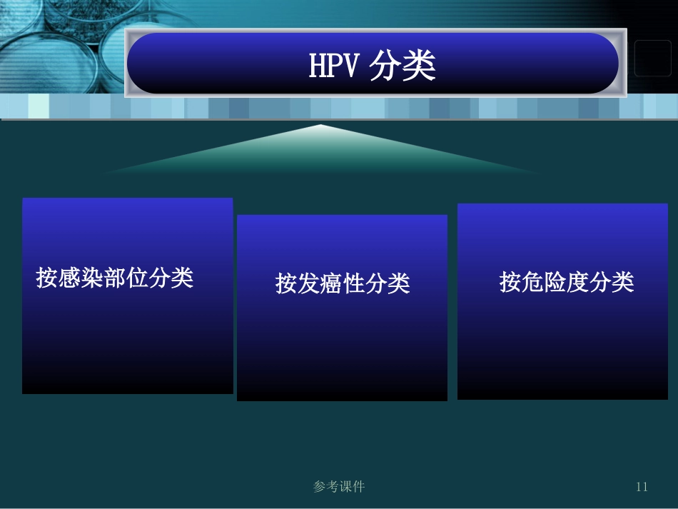 HPV感染与宫颈癌关系【34页】_第11页