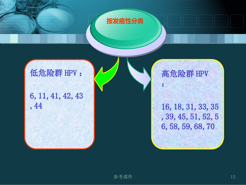 HPV感染与宫颈癌关系【34页】_第13页
