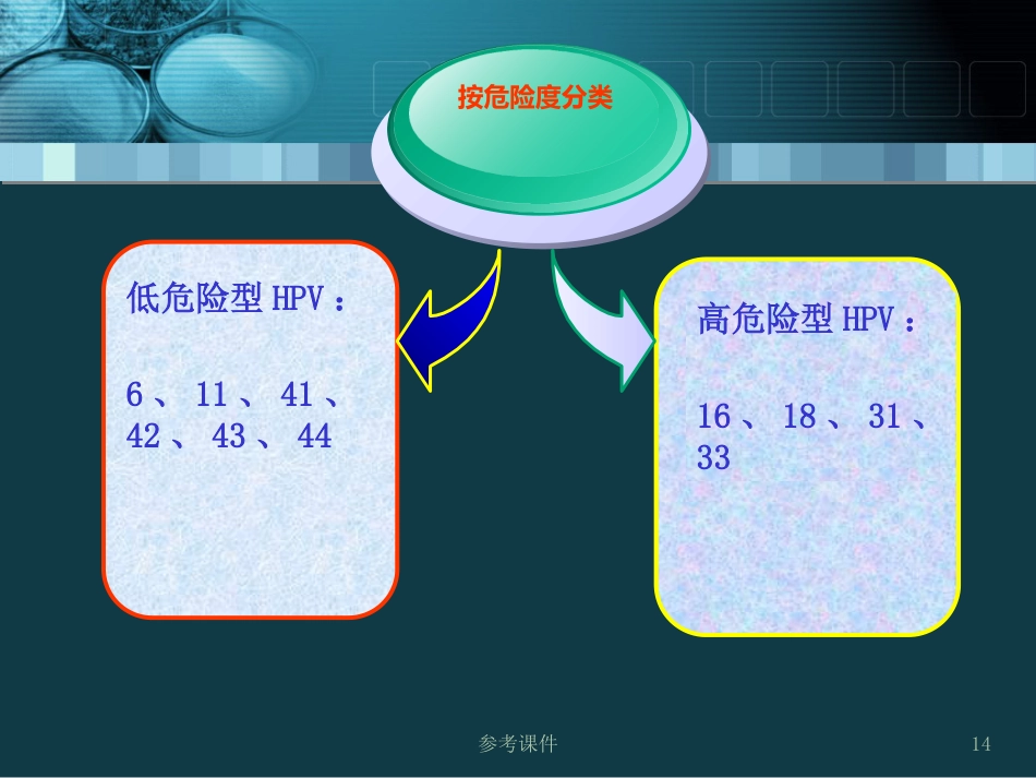 HPV感染与宫颈癌关系【34页】_第14页