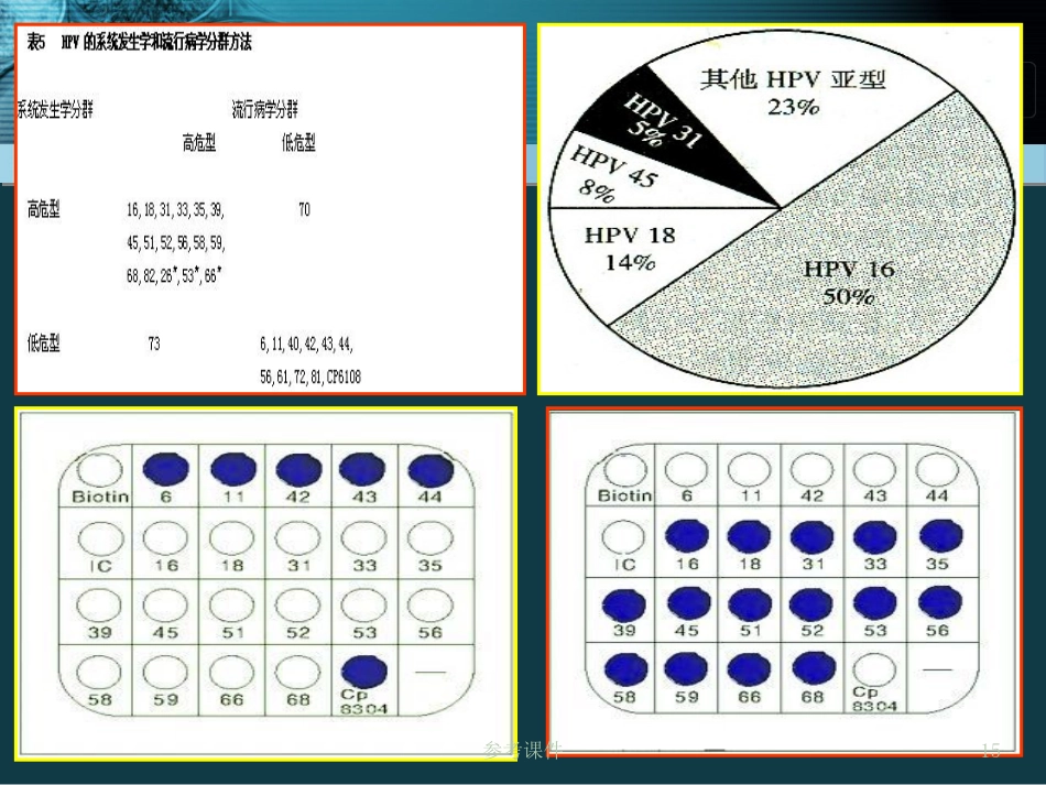HPV感染与宫颈癌关系【34页】_第15页