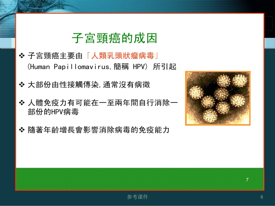 HPV感染与宫颈癌关系【34页】_第8页