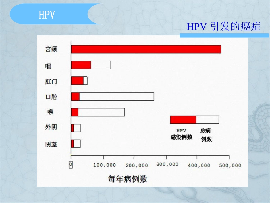 HPV分型在宫颈癌检测中意义【37页】_第11页