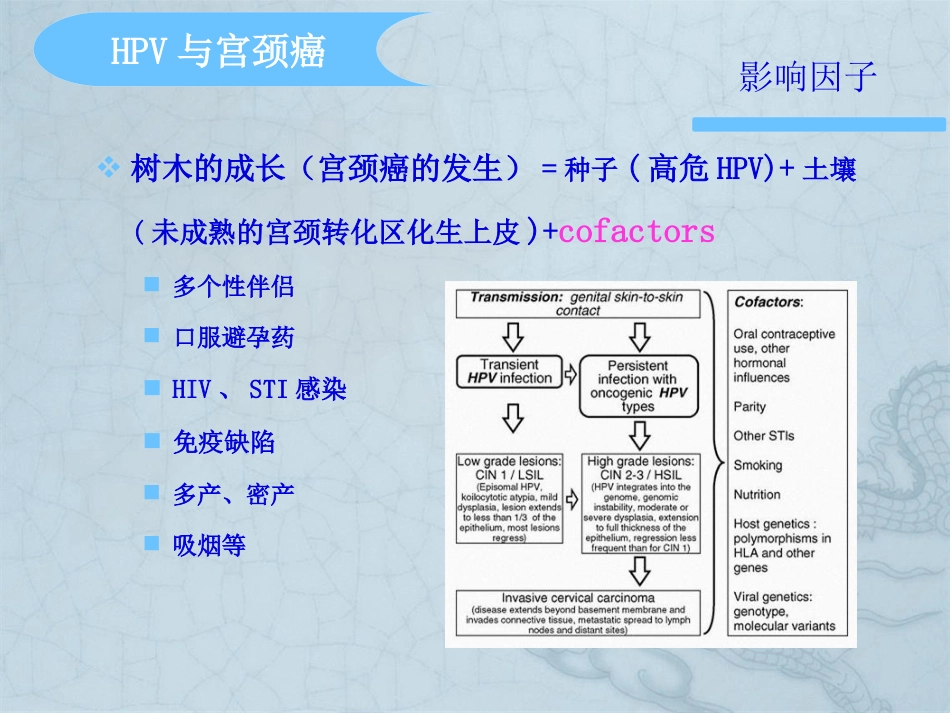 HPV分型在宫颈癌检测中意义【37页】_第15页